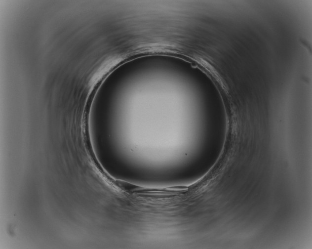 X0000100951285200806241454