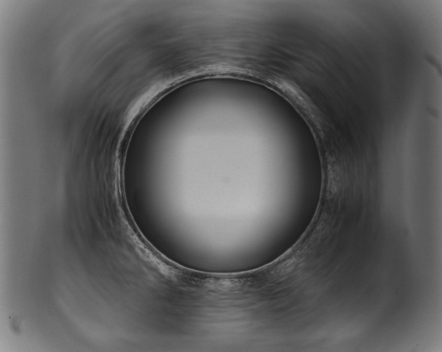 X0000100951286200806241454