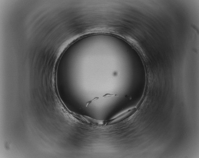 X0000100951288200806241454