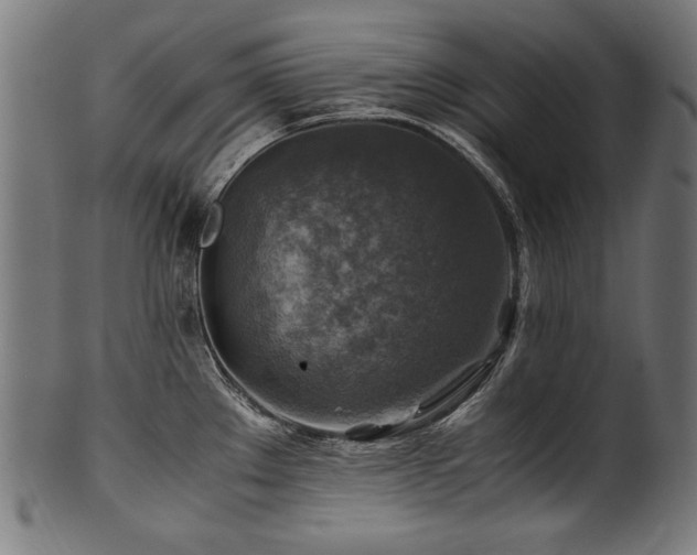 X0000100951289200806241454