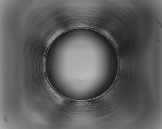 X0000100951290200806241454
