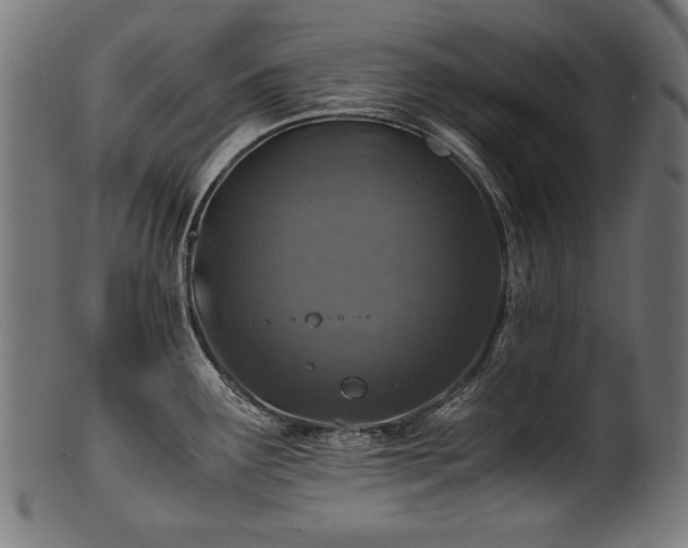 X0000100951291200806241454