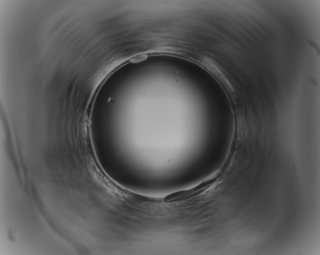 X0000100951292200806241454