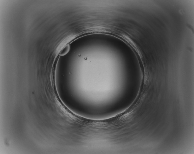 X0000100951293200806241454