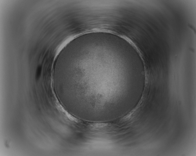 X0000100951294200806241454