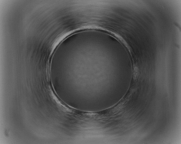 X0000100951295200806241454