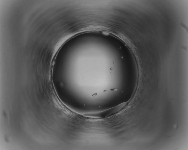 X0000100951296200806241454