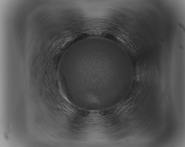 X0000100951297200806241454