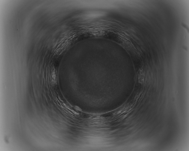 X0000100951298200806241454
