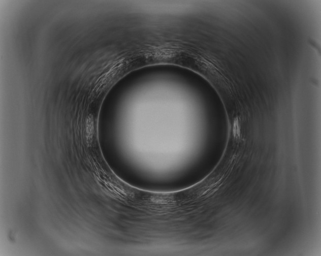 X0000100951299200806241454
