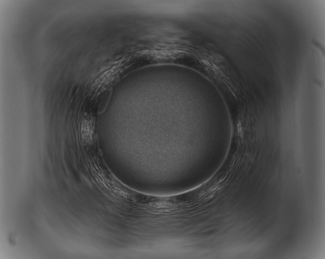 X0000100951300200806241454