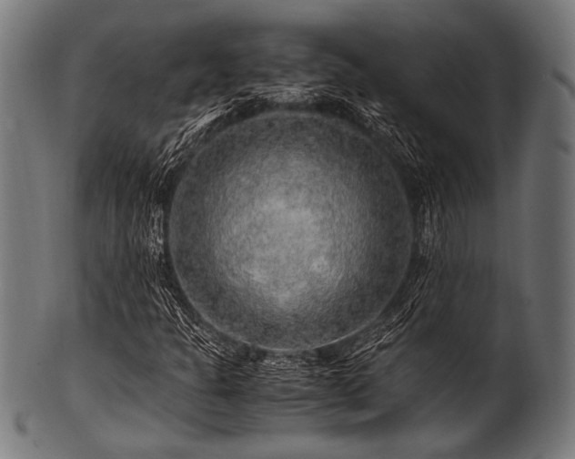 X0000100951301200806241454