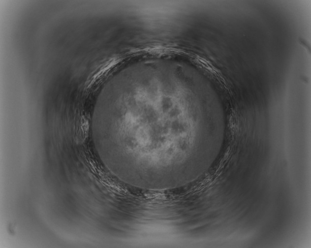X0000100951302200806241454