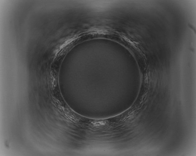 X0000100951303200806241454