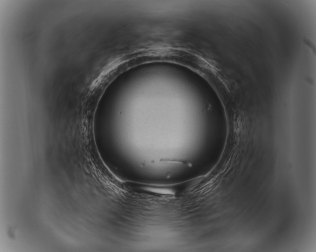 X0000100951304200806241454