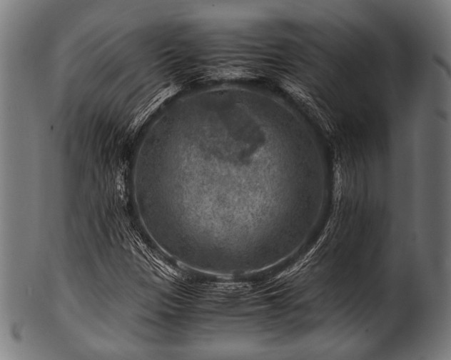 X0000100951305200806241454