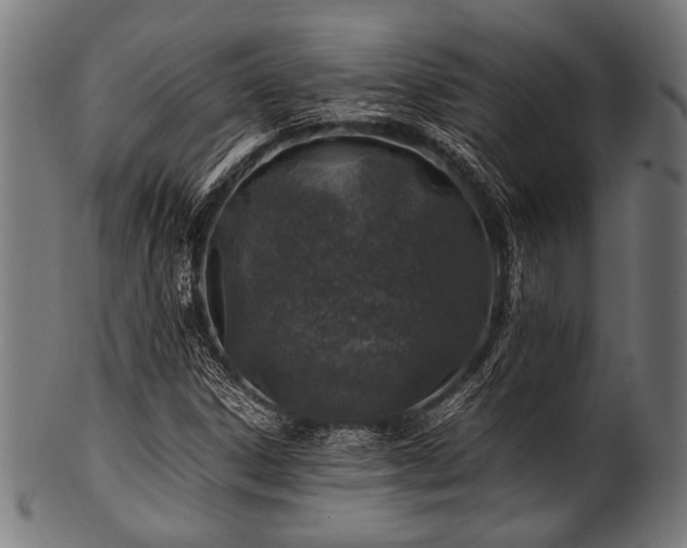 X0000100951306200806241454