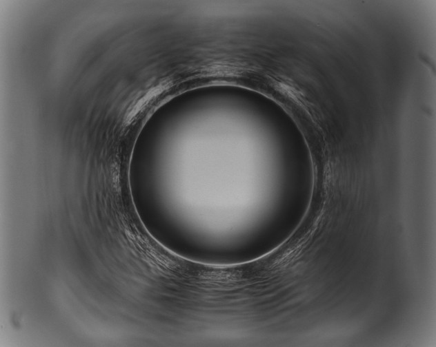 X0000100951307200806241454