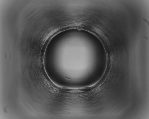 X0000100951308200806241454