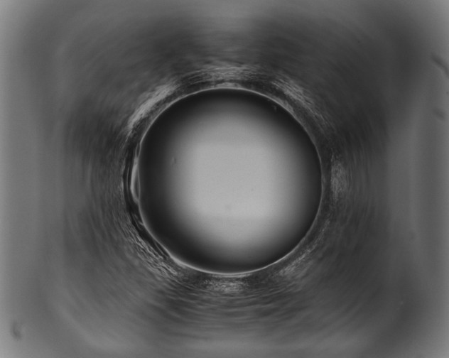 X0000100951309200806241454