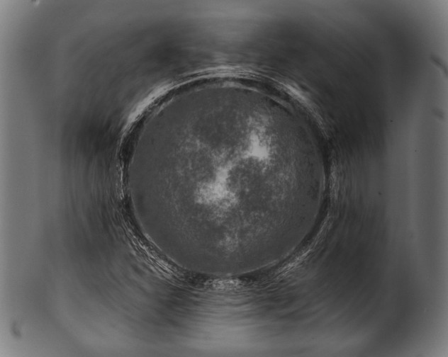 X0000100951310200806241454