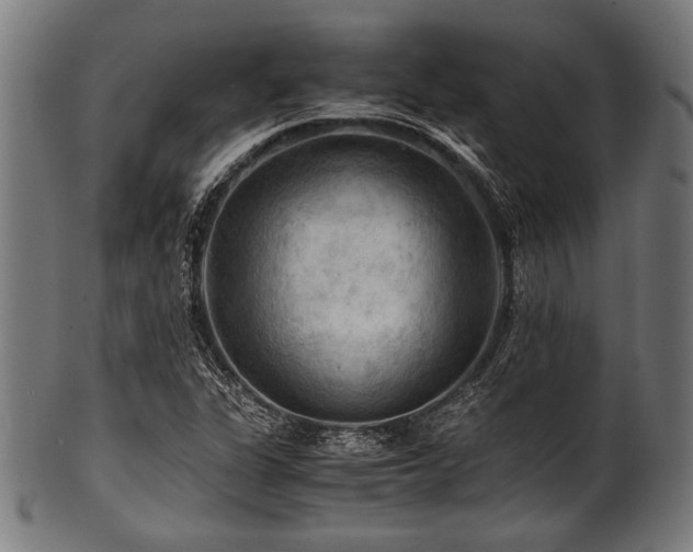 X0000100951311200806241454