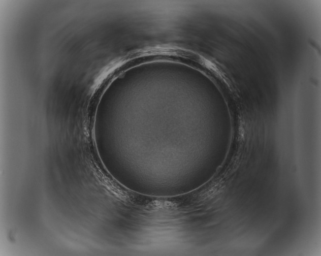 X0000100951312200806241454