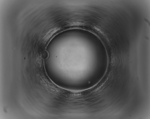 X0000100951313200806241454