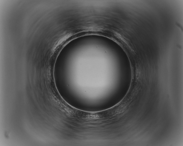 X0000100951315200806241454