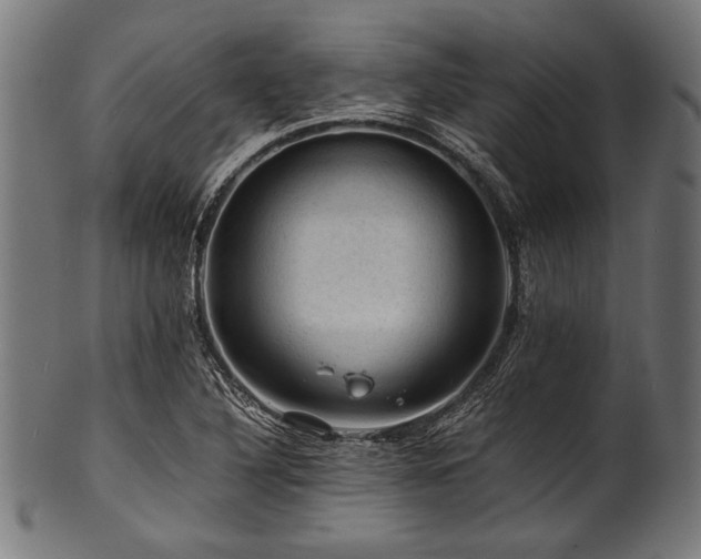 X0000100951316200806241454