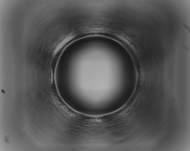 X0000100951317200806241454