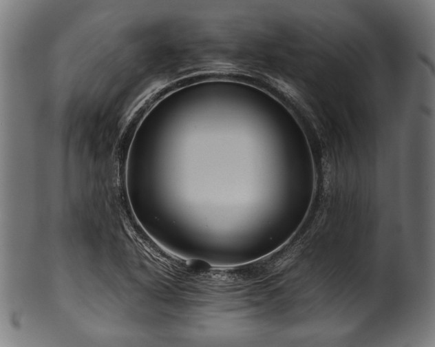 X0000100951318200806241454