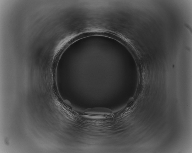 X0000100951319200806241454