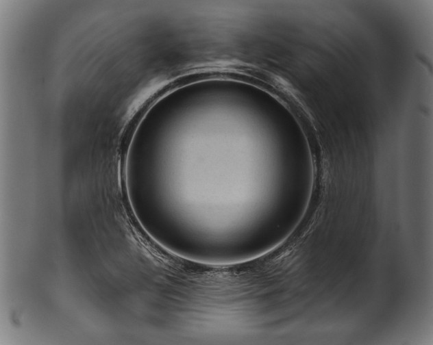 X0000100951320200806241454