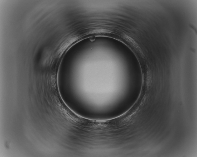 X0000100951321200806241454