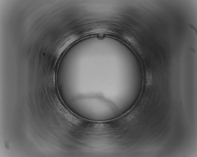 X0000100951322200806241454