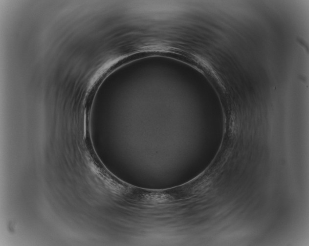X0000100951323200806241454