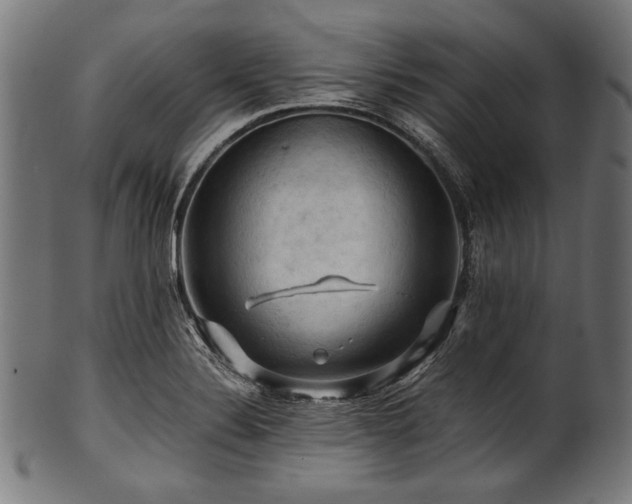 X0000100951324200806241454