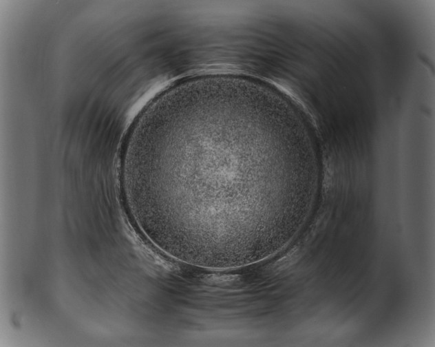 X0000100951325200806241454