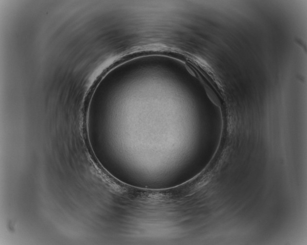 X0000100951326200806241454