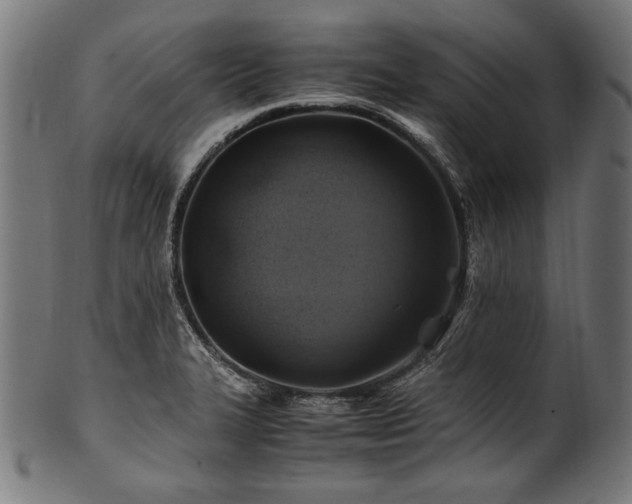 X0000100951327200806241454