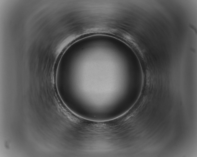 X0000100951328200806241454