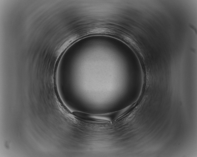 X0000100951330200806241454