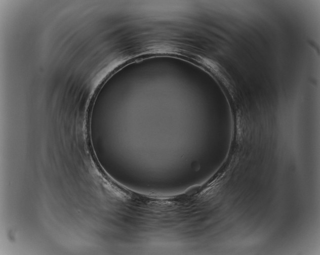 X0000100951331200806241454