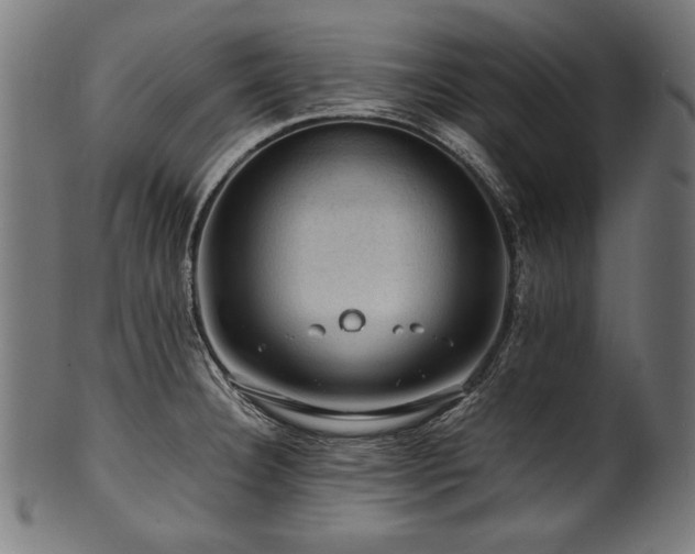 X0000100951332200806241454