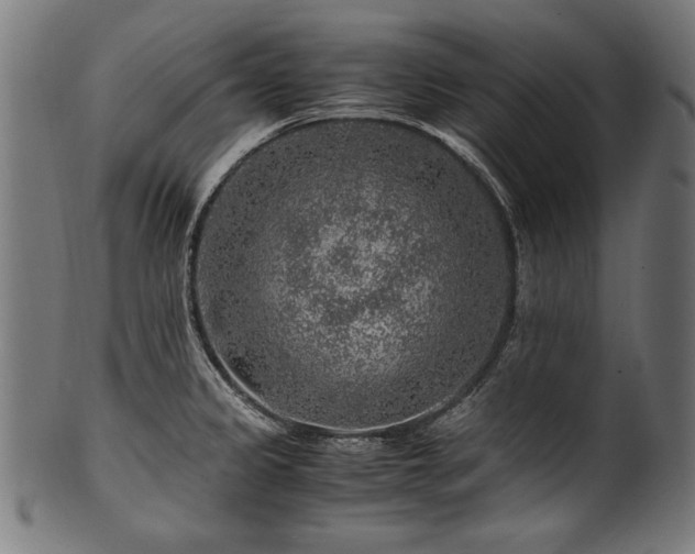 X0000100951333200806241454