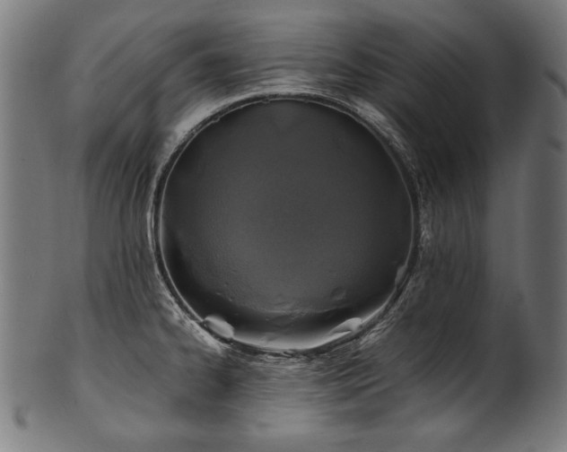 X0000100951334200806241454