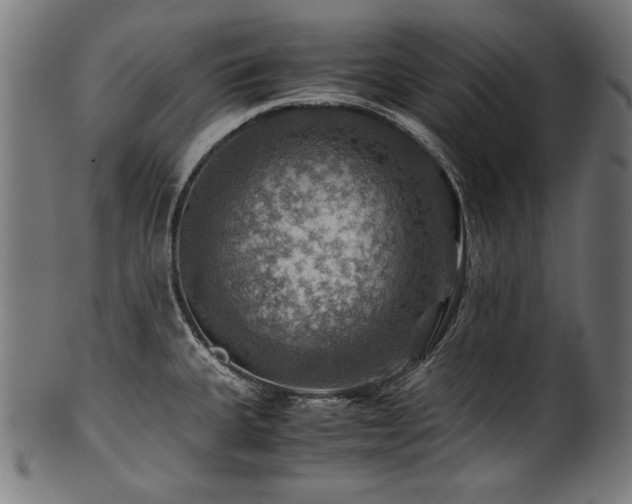 X0000100951335200806241454
