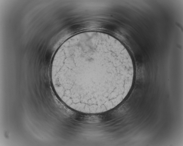 X0000100951338200806241454
