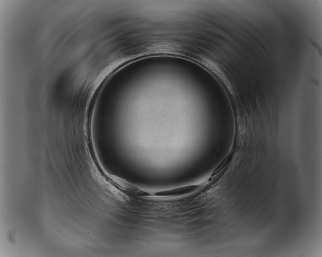 X0000100951339200806241454